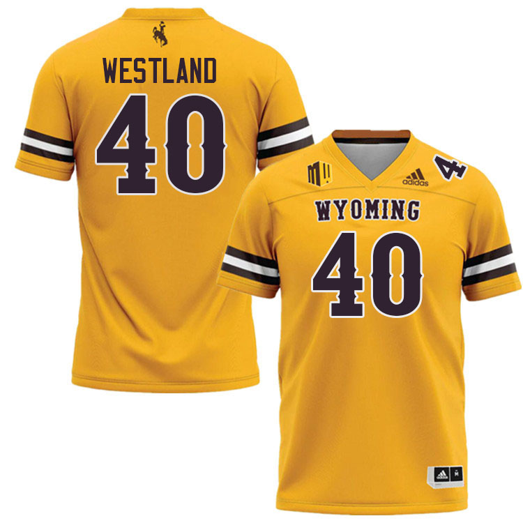 Wyoming Cowboys #40 Tyce Westland College Football Jerseys,Uniforms-Gold